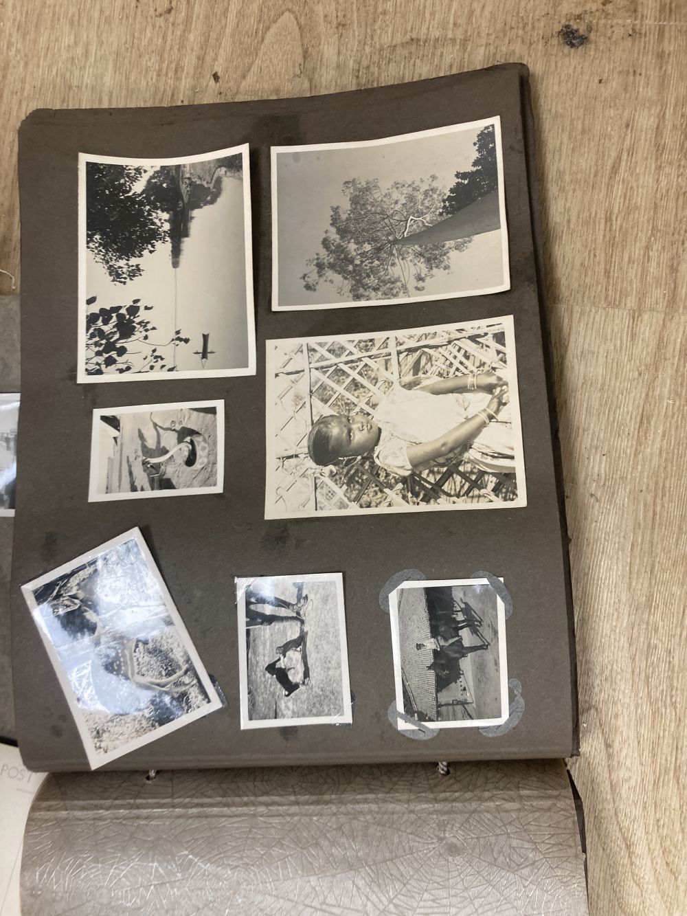 A large collection of photographs including albums